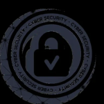 web application penetration testing