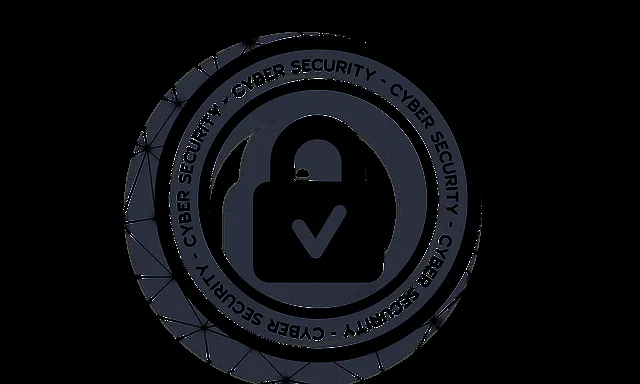 web application penetration testing